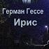 Герман Гессе Ирис