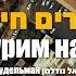 Михоэль Нудельман А в Пурим надо Official Music Video מיכאל נודלמן בפורים חייבים