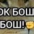 Точикфилм бехтарин марги бегунох филм