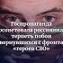 Госпропаганда посоветовала россиянкам терпеть побои вернувшихся с фронта героев СВО