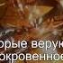 Коран Сура Аль Бакара 2 3 Чтение Корана с русским переводом Quran Translation In Russian