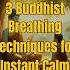 3 Buddhist Breathing Techniques For Instant Calm Mindfulness Meditation Buddha