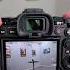 Sony A9 III Global Shutter Sensor Shooting At 120 Fps Sony A9III Shorts
