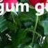 Doğum Günün Kutlu Olsun Theo