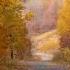 Chinese Landscape