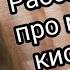 РУБРИКА MY CAY Рассказ про мою киску