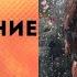 ПОПАДАНЦЫ АУДИОКНИГА ВОЗВРАЩЕНИЕ НА РИНГ СССР СЛУШАТЬ