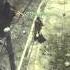 STIHL Rage MW3 Game Clip