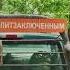 Свободу попугаям свободу Анджеле Дэвис
