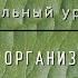 Биология 10 кл Проф уровень 9 Углеводы