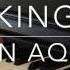 King Lauren Aquilina Piano Cover BODO