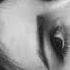Hayit Murat Tortured Original Mix