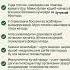 Мурчнинг фойдали хусусиятлари ҳақида биласизми