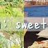College Diaries Museum Dates Friend Reunions Spring Picnics
