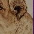 Wood Burning Art Lioness Pyrography Time Lapse Art Lion