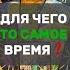 ДЛЯ ЧЕГО ТО САМОЕ ВРЕМЯ