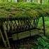 Abandoned Animals Manger In The Forest