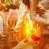 Beparwah Full Audio Song Tiger Shroff Nidhhi Agerwal Nawazuddin Siddiqui Audio Song