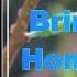 Gabrielle Bring It On Home To Me Lyrics
