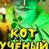 Кот Учёный отвечает на вопрос Тамары что такое SCP 3008 Scp3008 юмор комедия Scp