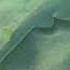 Гитарник Халави Скат рохля или гитарный скат Рыба гитара хатуль ям Guitarfish Захабия