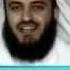 Mishary Rashid Alafasy Reed Ya Taresh Flv