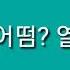 브베 극대노를 바란다