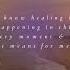 The Possibility Of Healing Affirmations Autoimmune Lupus Hashimotos