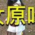 大街上买美女原味丝袜第五期 社会实验