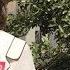 李文足 政府强行指定官派律师 王全璋权益无法保障 7 27 VOA连线 精彩点评