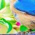 Calming Music For Nerves Healing Music For The Heart And Blood Vessels Relaxation Music For