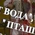 СПИТ ВОДА поёт ансамбль ПТАШИЦА на концерте в гостях у Митрофановны