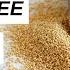 From Ancient Grain To Modern Superfood 8 Amaranth Health Advantages