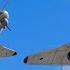 1 Minute Ago 14 The World S Most Feared Russian Fighter Jets Were Shot Down By Ukraine