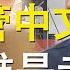 Top 5 Popular Bloggers On Youtube Chinese Channel Who Is The Most Popular Internet Celebrity