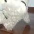 Shaky Shihtzupuppy Dog Ppets Cute Love Song Doglover Trending Short Youtubeshorts
