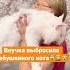 Внучка выбросила бабушкиного кота
