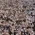Allah Hu Akbar Allah Hu Akbar Lailaha Illallah Wallahu Akbar Allahu Akbar WaLillahil Hamd Eid Takbir