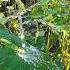Slow Motion Water Falling Shorts Nature Youtubeshorts Cinematic Mohidnst