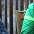 Депутат про Русский Марш и золотой Айфон