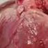 Human Heartbeat Sound Effect 60 Bpm