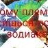 Коты Воители Из какого ты племени по знаку зодиака