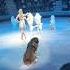 улыбашки Acrobat Trick акробатика пудель цирк Dog Jump Smile Funny Funnyvideo Trick