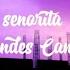 Señorita Shawn Mendes Camila Cabello Lyrical Clouds
