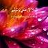 Mawlaya Salli Wa Sallim Islamic Nashid Islamicsong Nashid Islamicnashid
