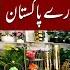 Bakra Eid Ki Bari Sale Home Decoration Karkhano Market Peshawar Youtubeshorts Viralvideo Youtube