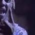 Eminem Godzilla Juice Wrld Verse Only 1 Hour Loop