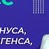 Опредение синуса косинуса тангенса котангенса Видеоурок 21 Алгебра 10 класс