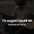 Hozan Hamit
