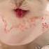 The Little Kitten S Meow Is So Cute Cute Meow Cat